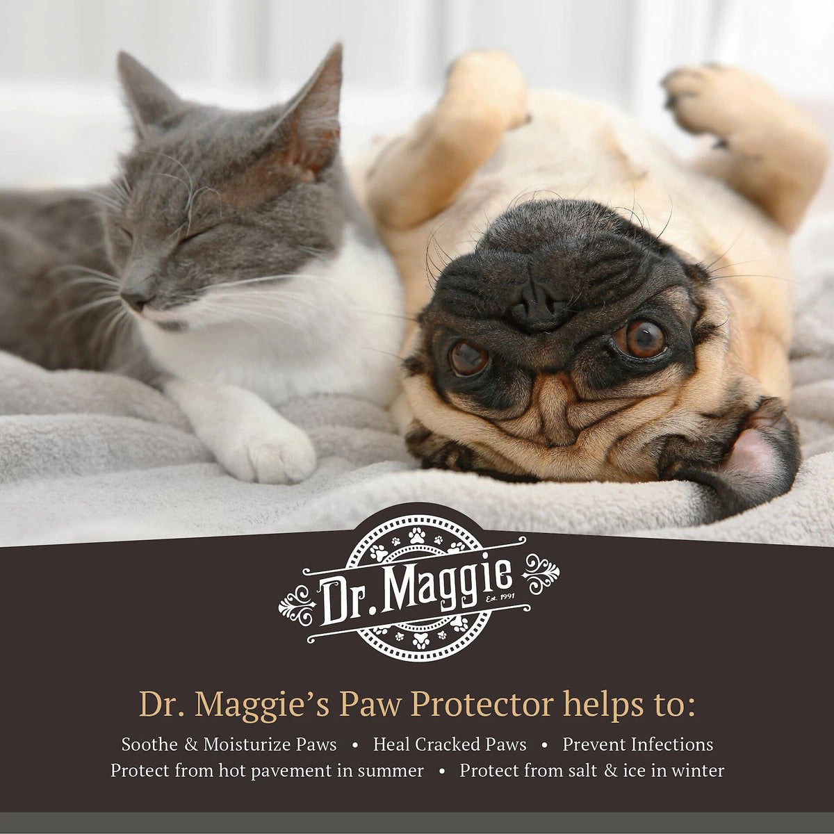 Dr Maggie Paw Protector 100GM