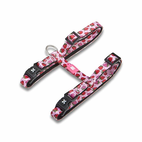 Neoprene Cat Harness with Leash - Strawberry Dream