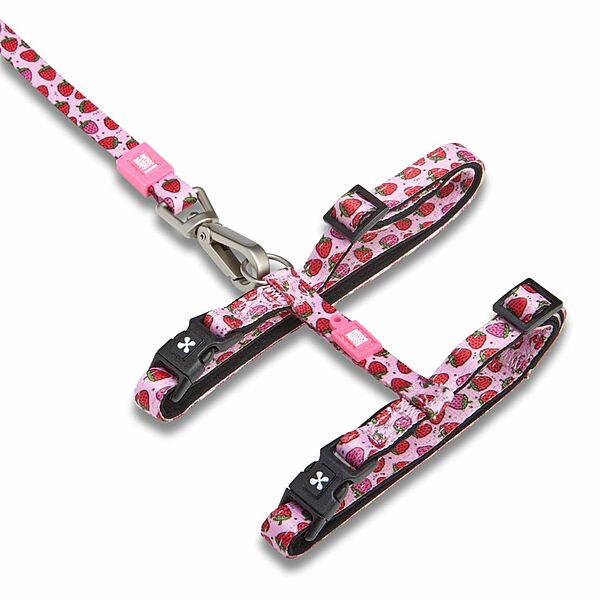 Neoprene Cat Harness with Leash - Strawberry Dream