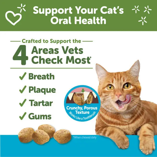 Natural Chicken & Tuna Flavored Cat Dental Treats - 2 oz