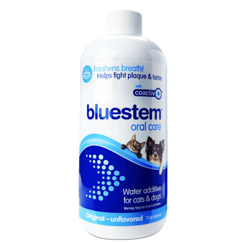 Bluestem Oral Care Water Additive Original Flavor 500ml - Wiggles & Whiskers Pet SuppliesBLUESTEM