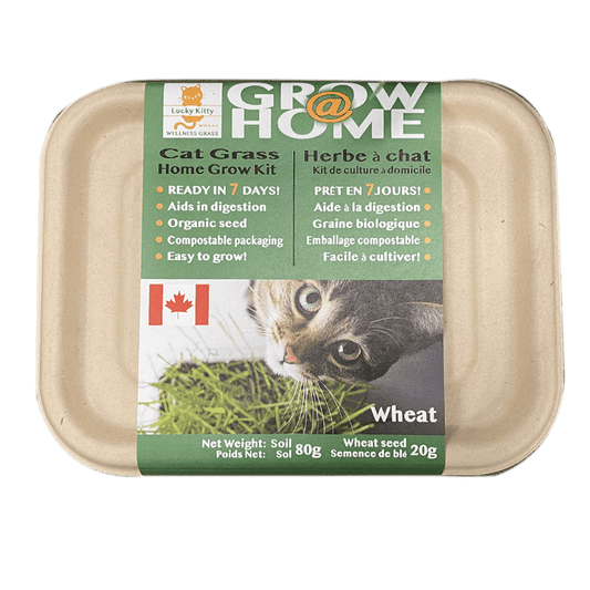 Grow At Home Cat Wheat Grass - Wiggles & Whiskers Pet SuppliesMy Store