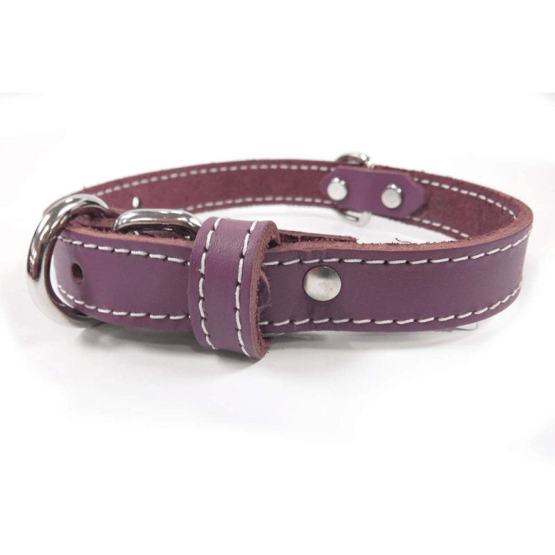 Purple Leather Collar 14 - Wiggles & Whiskers Pet SuppliesLACETS ARIZONA