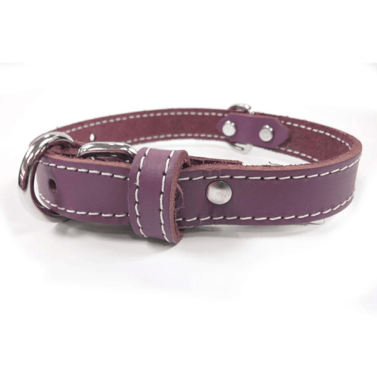 Purple Leather Collar 28 - Wiggles & Whiskers Pet SuppliesLACETS ARIZONA