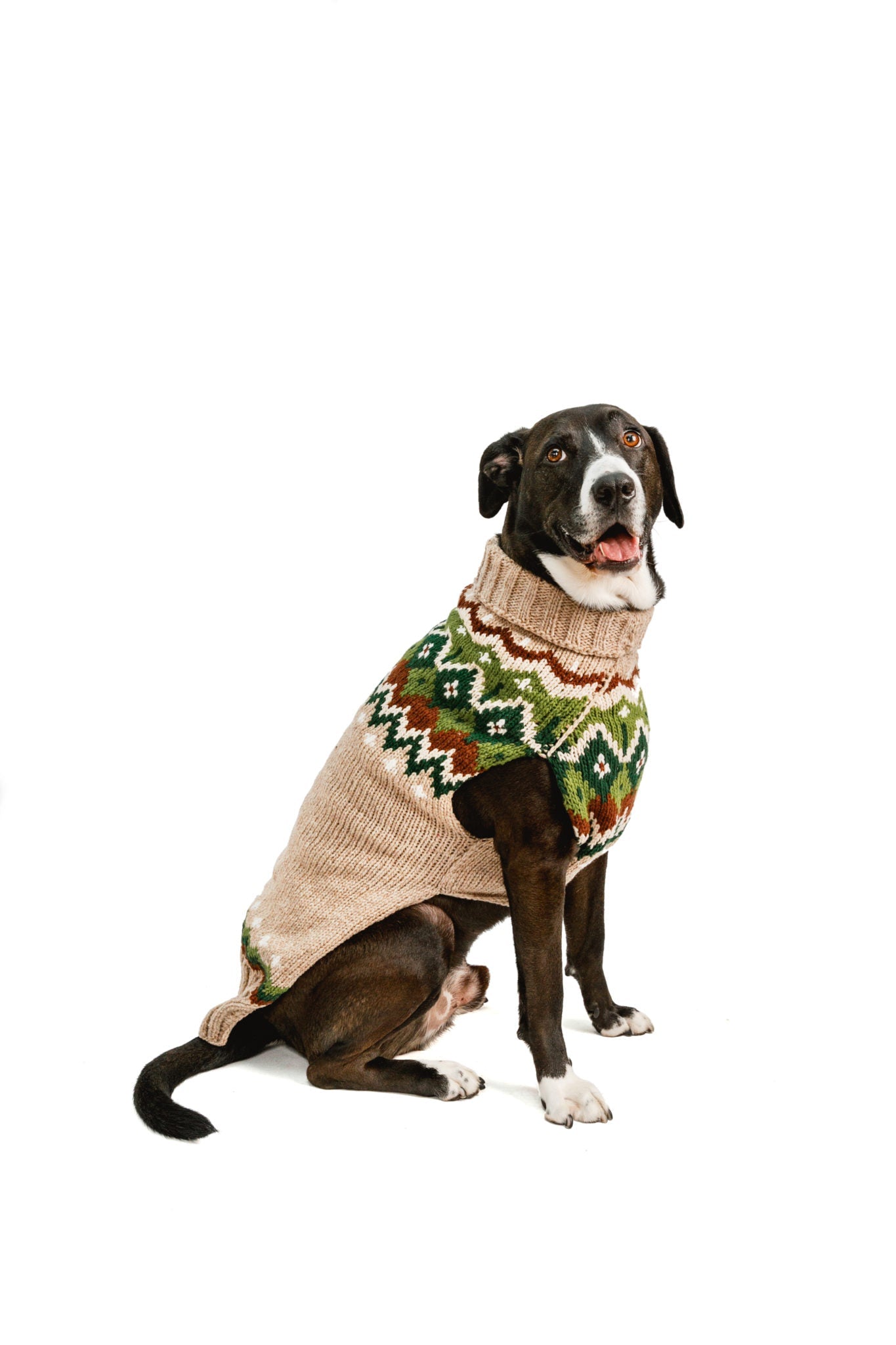 Ragg Wool Fairisle Dog Sweater - Wiggles & Whiskers Pet SuppliesChilly Dog Clothing