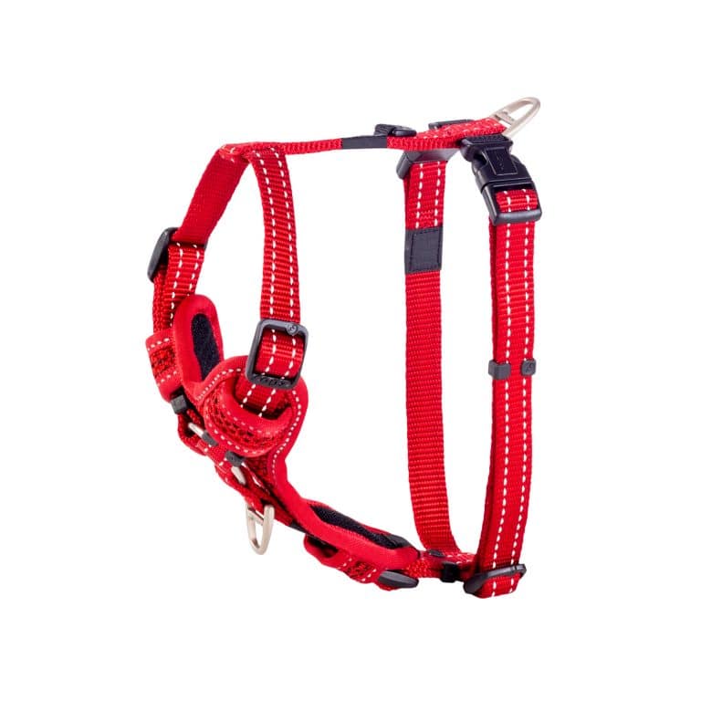 Rogz Control Harness - Varied Colors - Wiggles & Whiskers Pet SuppliesRogz