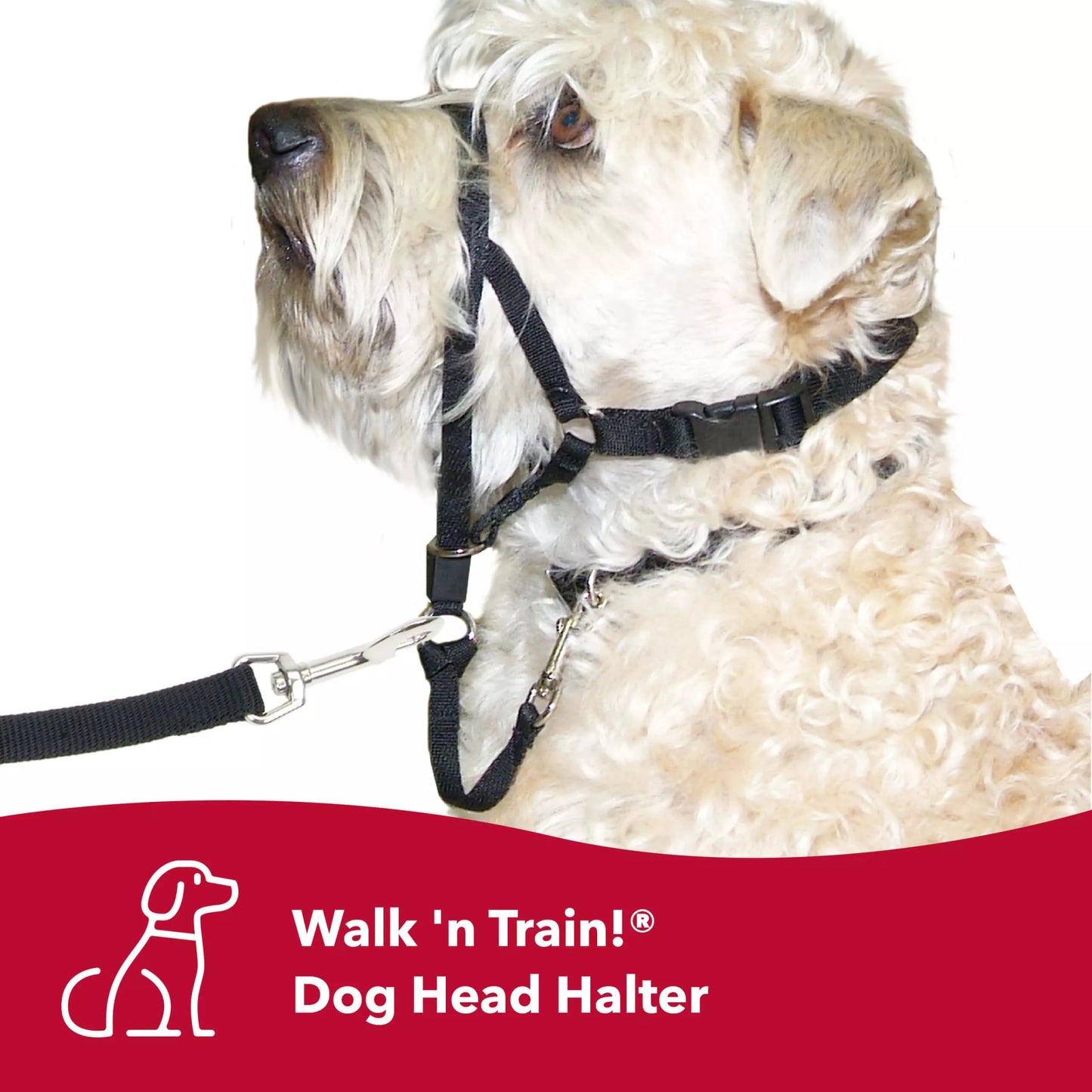 Walk'n Train Head Halter - Wiggles & Whiskers Pet SuppliesCoastal Pets