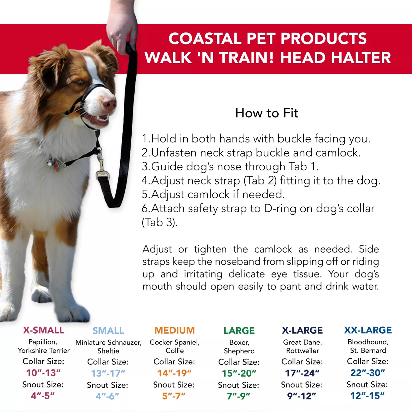 Walk'n Train Head Halter - Wiggles & Whiskers Pet SuppliesCoastal Pets